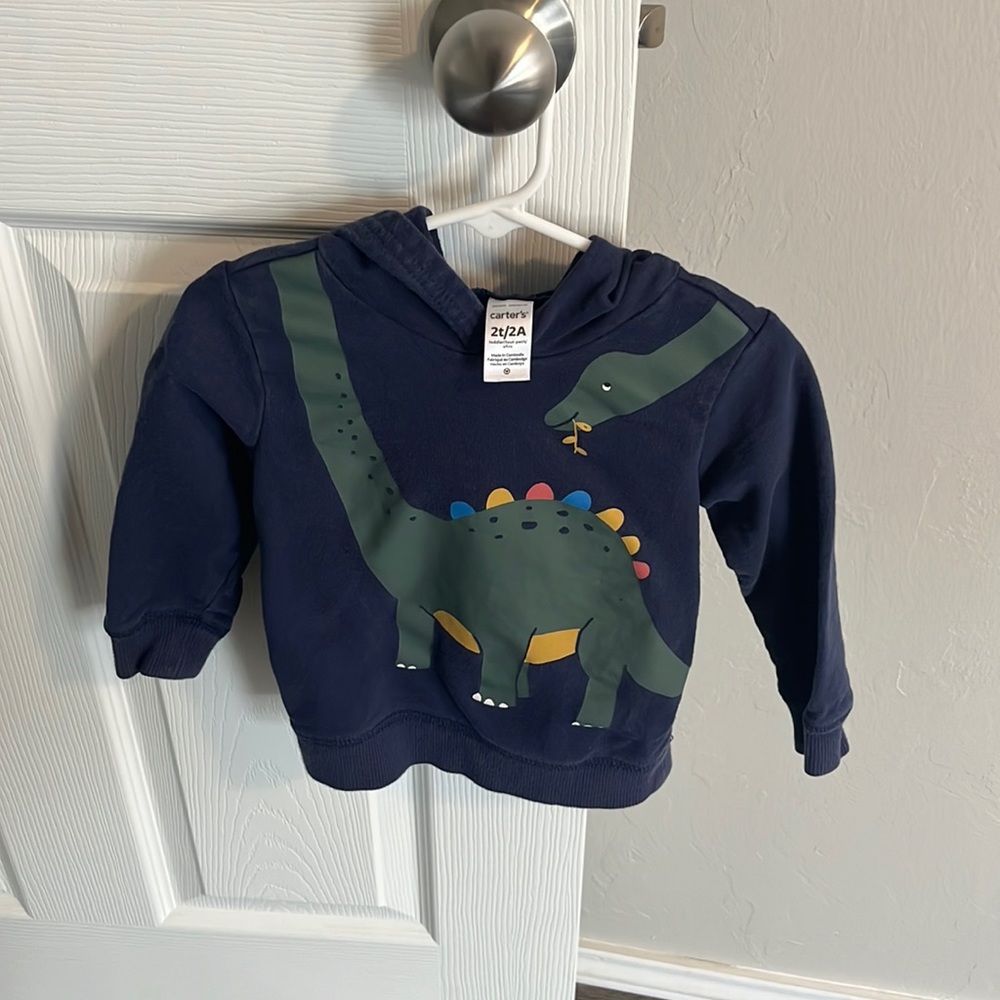 Dinosaur Hoodie